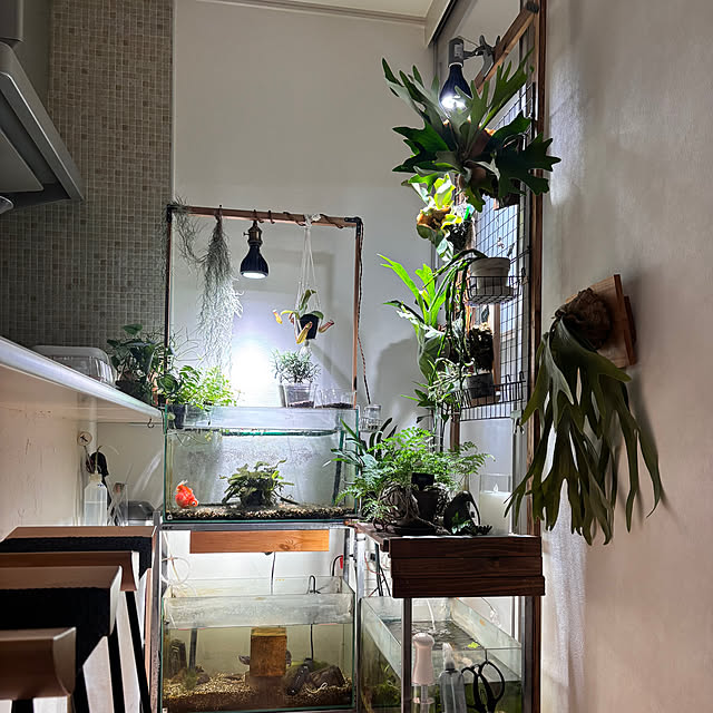 greycatsさんの実例写真