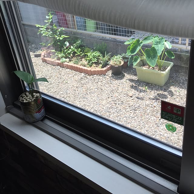 chuchuさんの実例写真
