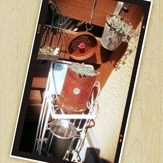 portulacaさんの実例写真