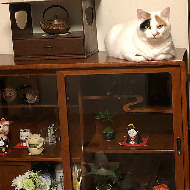 junbuさんの実例写真