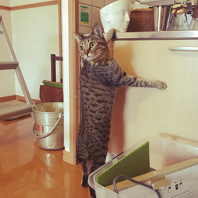 Mさんの実例写真