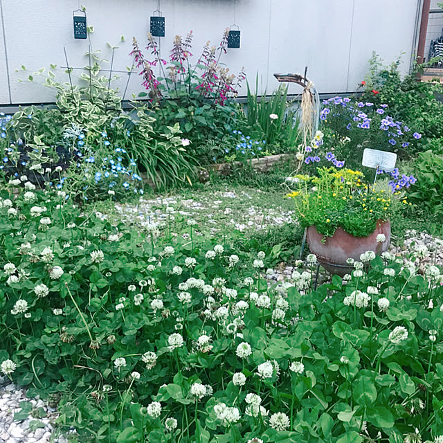 portulacaさんの実例写真