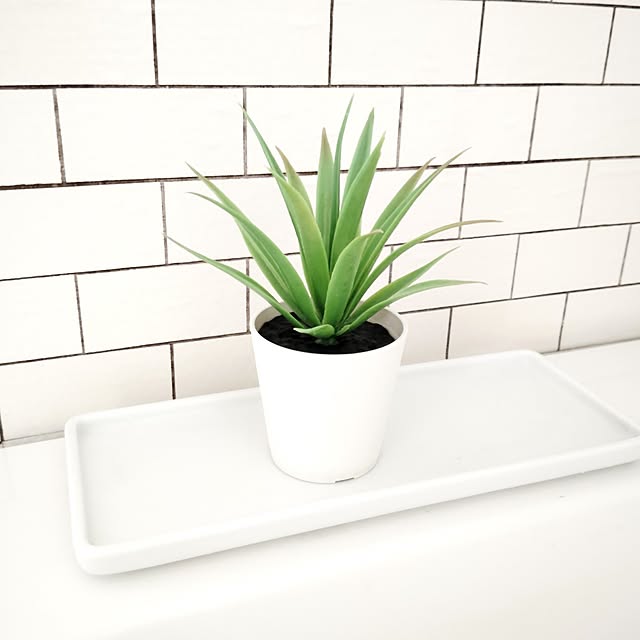 SSSSSさんの部屋