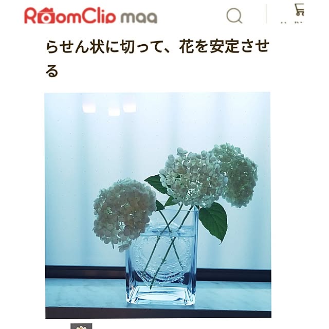 Renさんの部屋