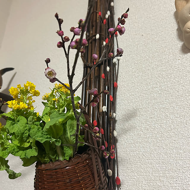 ritsukoさんの部屋