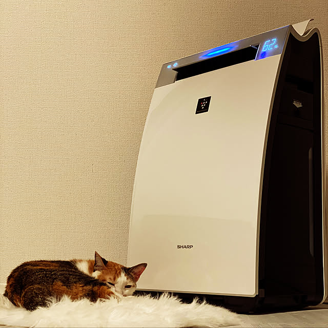 空気清浄機 シャープ SHARP 加湿器 プラズマクラスター25000 KI 空気清浄機 シャープ SHARP 加湿器 プラズマクラスター25000 KI
