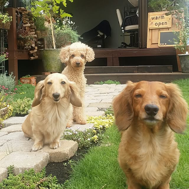 Nakakoさんの実例写真