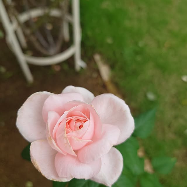 fleur-mamanさんの部屋