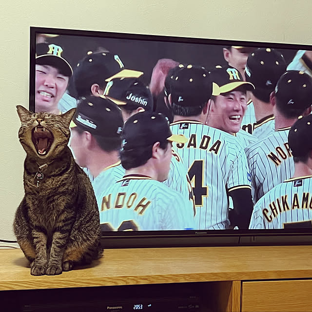 masamasaさんの実例写真