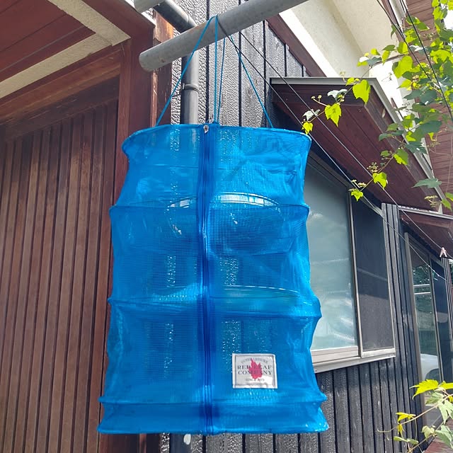 makaronさんの部屋