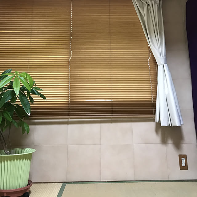 mizucchiさんの実例写真