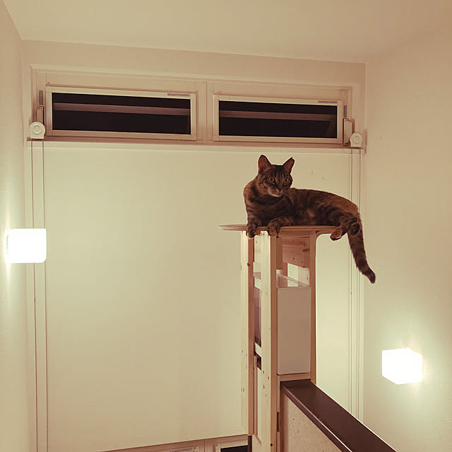 UNTYNさんの実例写真