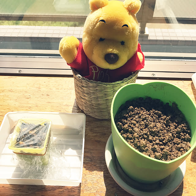 sayuさんの実例写真