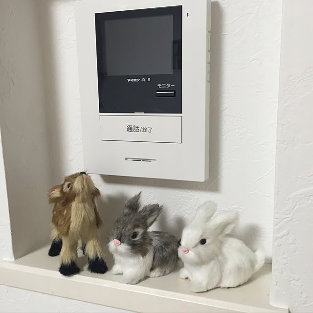 purintoreohainuさんの実例写真