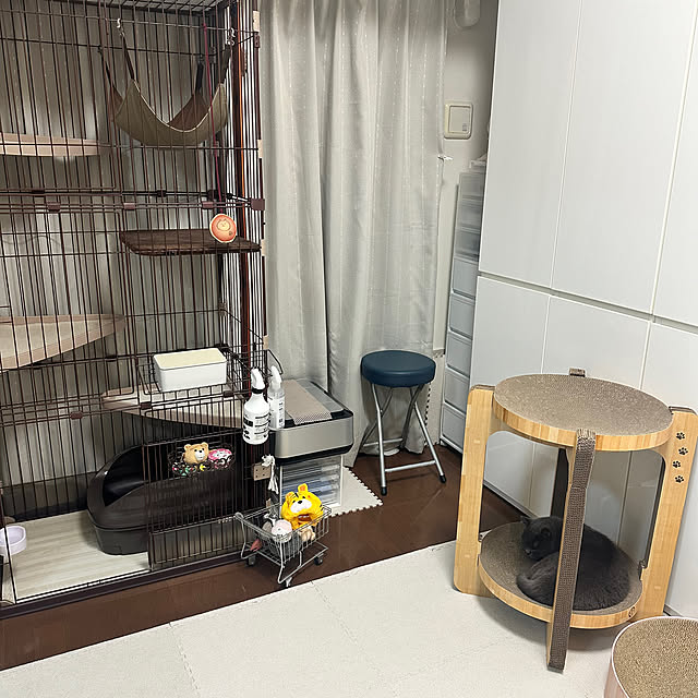 kittyさんの部屋