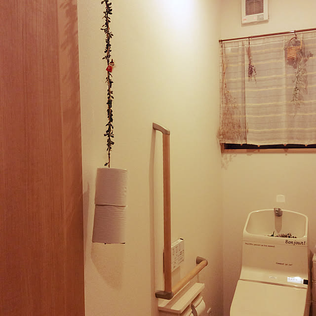 吊り下げ収納/フェイクグリーン/バス/トイレのインテリア実例 - 2021-09-26 19:06:44