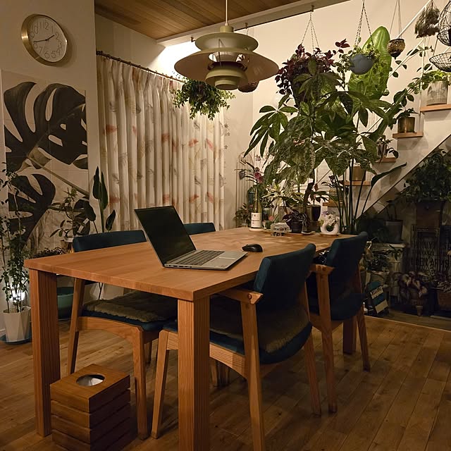 nonbiri_house_さんの部屋