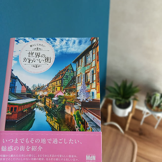 今日の1冊/今年は読書するぞ✨/妄想旅行/ターコイズブルー好き/懐かしいギリシャ旅行...などのインテリア実例 - 2022-02-23 08:34:07