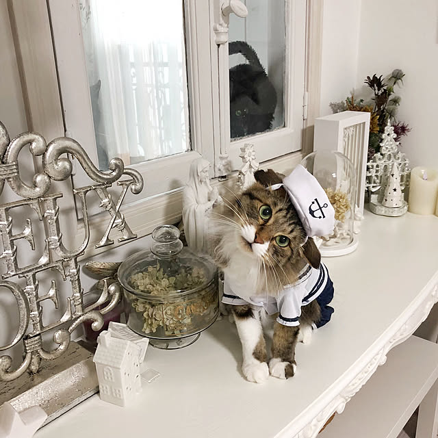 yuchiさんの実例写真