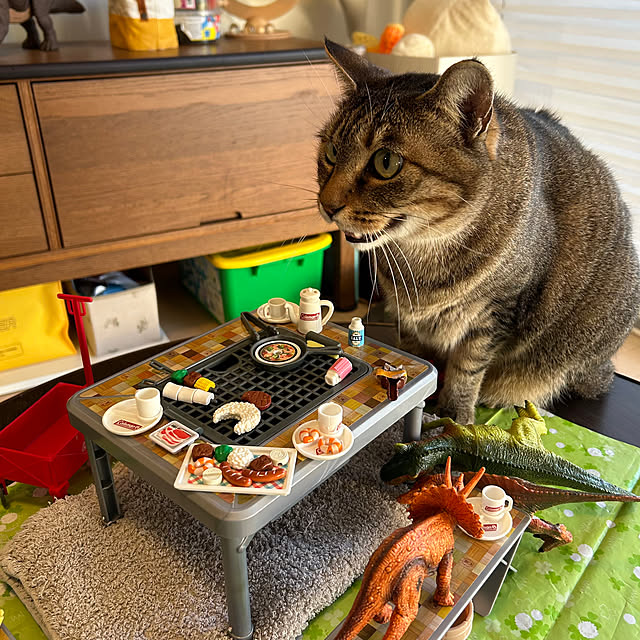 mikomaruさんの部屋
