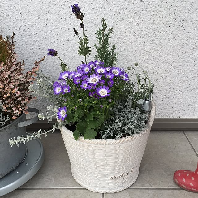 mekichinさんの実例写真