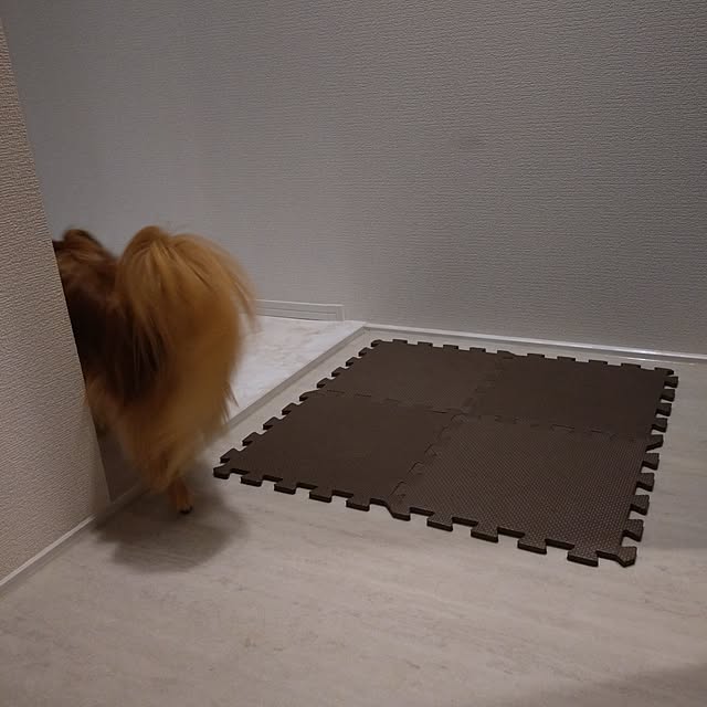 toratanさんの実例写真