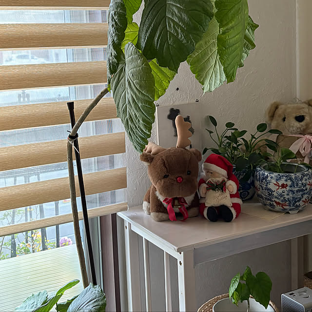 alchoさんの実例写真