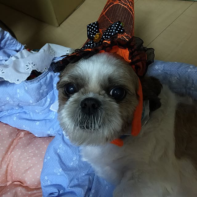 emiさんの実例写真