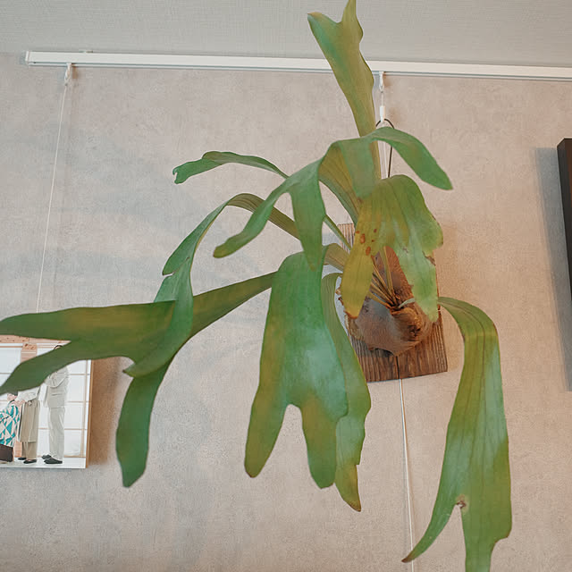 puurinさんの部屋