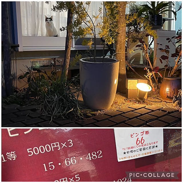 nobikoさんの実例写真