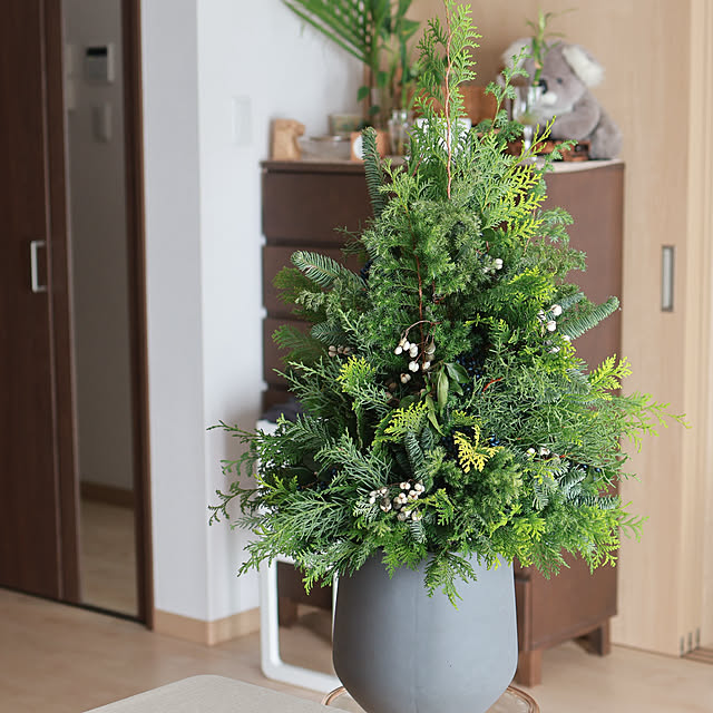 Summerさんの部屋