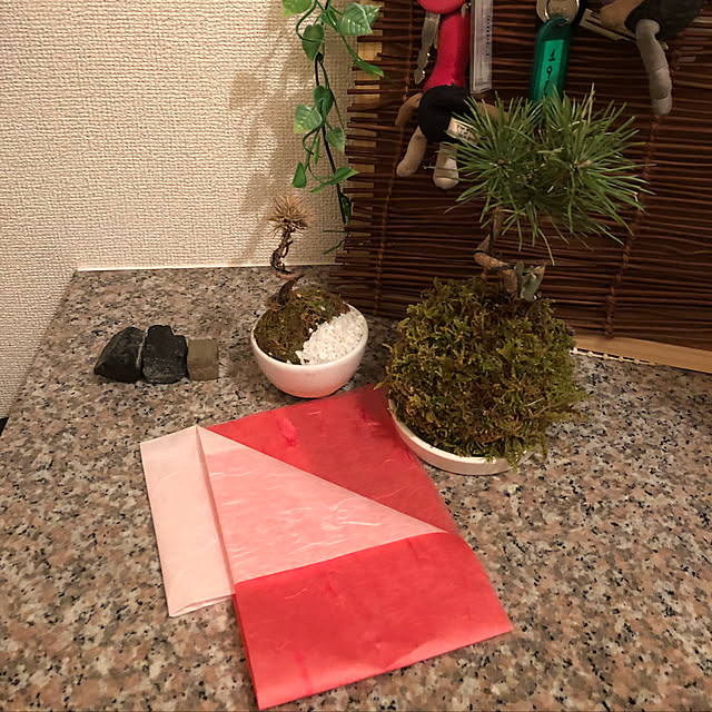 mizukawaumiさんの実例写真