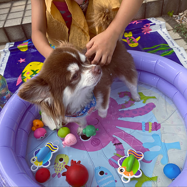 chIoeさんの実例写真