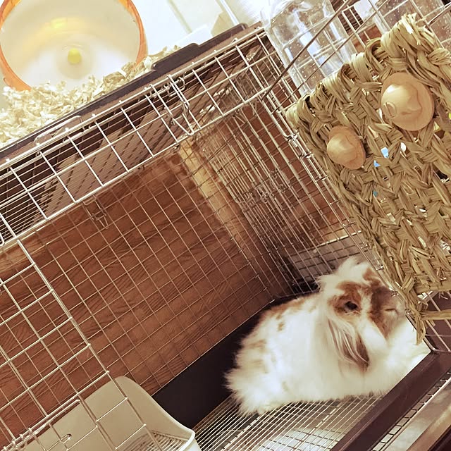 sasanquaさんの実例写真
