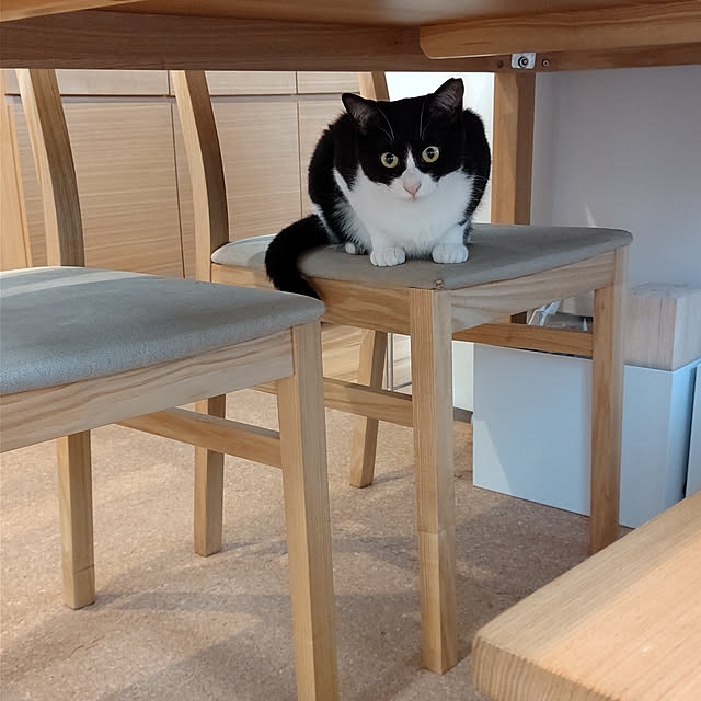 hihaさんの実例写真