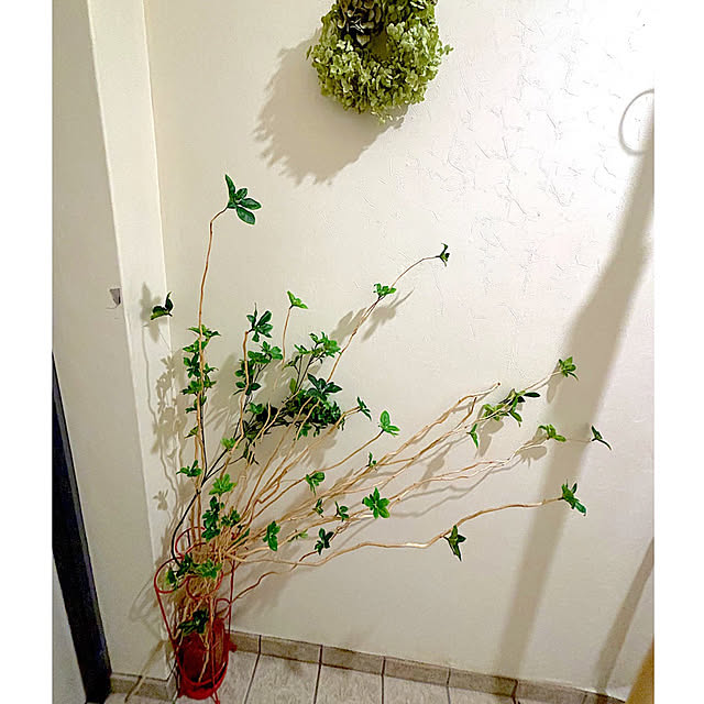 syutmmさんの部屋