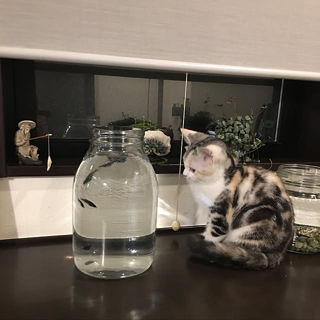 rumiさんの実例写真