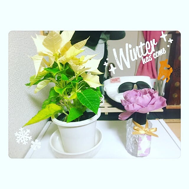 mkさんの実例写真