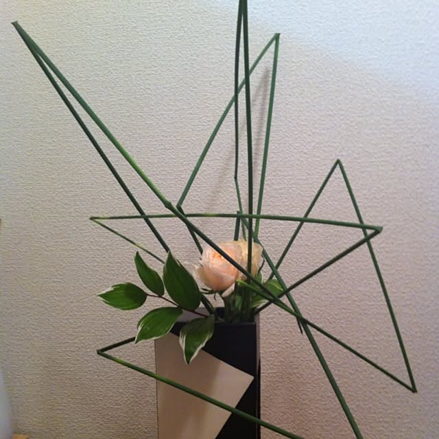 nomuikuさんの実例写真