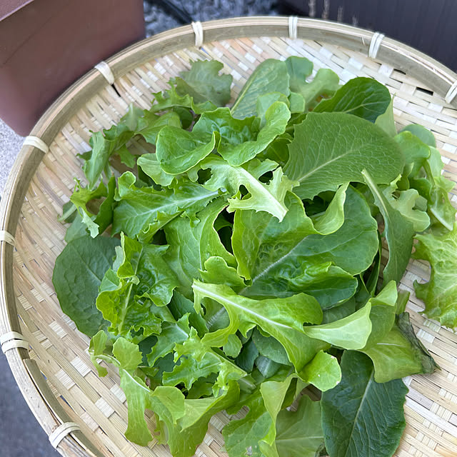 enotasoさんの部屋