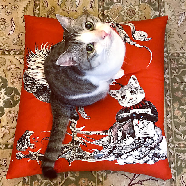 emmyyさんの実例写真