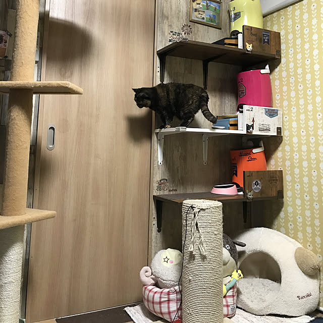 DANMIさんの実例写真