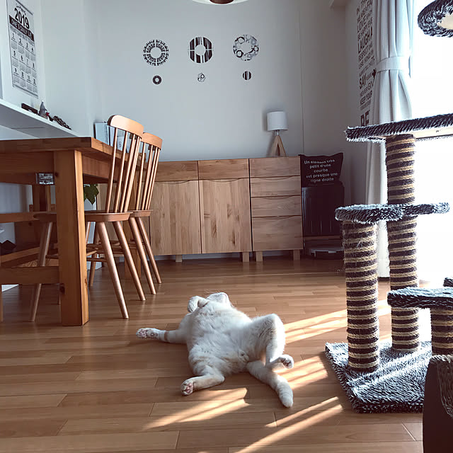 hiyupan88さんの実例写真