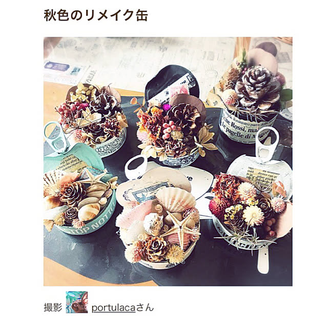 portulacaさんの実例写真