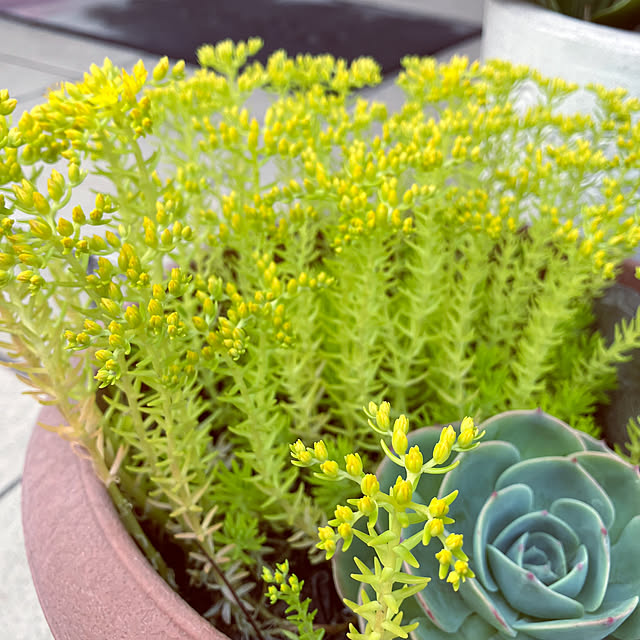 m0917mさんの実例写真