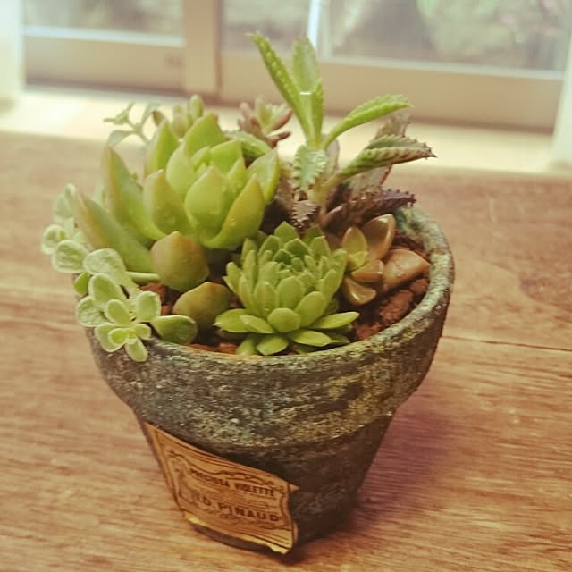 asiangreen25さんの実例写真