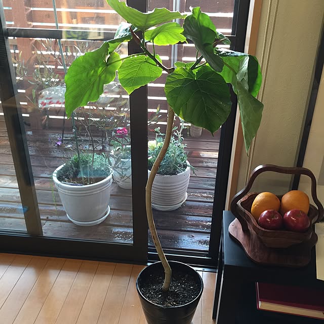 hanaさんの実例写真