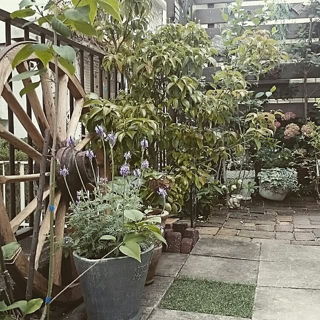 ycmmtj62310126さんの実例写真