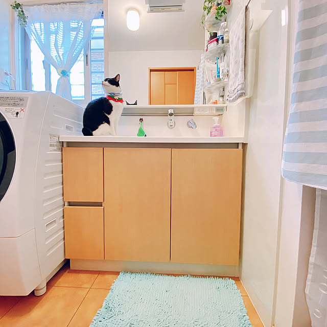 moolさんの実例写真