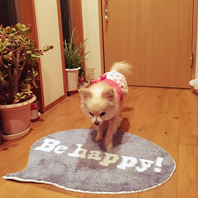 mukkupinさんの実例写真